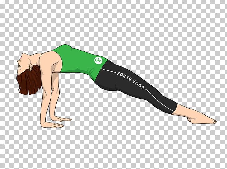 Arm Plank Yoga Purvottanasana Ardha Chandrasana PNG, Clipart, Ardha Chandrasana, Arm, Asana, Hip, Human Leg Free PNG Download