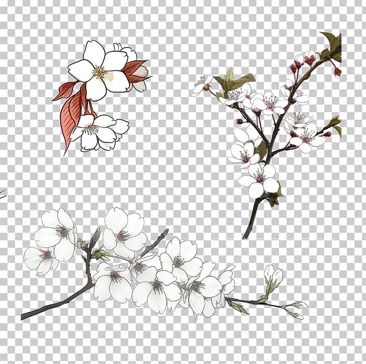Flower PNG, Clipart, Bloom, Blossom, Blossoms, Branch, Cherry Blossom Free PNG Download