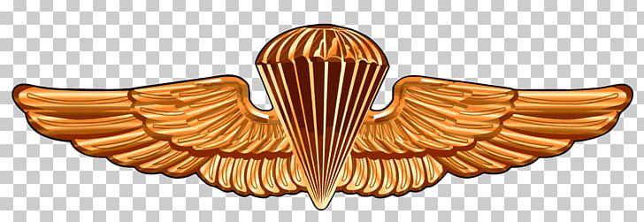 United States Naval Academy Parachutist Badge Special Warfare Insignia United States Navy SEALs United States Army Airborne School PNG, Clipart, Airborne Forces, Body Jewelry, College, Jewellery, Marines Free PNG Download