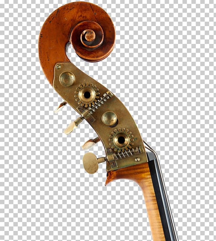 Violone Cello Violin Double Bass Viola PNG, Clipart, Bass Guitar, Bow, Bowed String Instrument, Bow Maker, Camillo Mandelli Free PNG Download