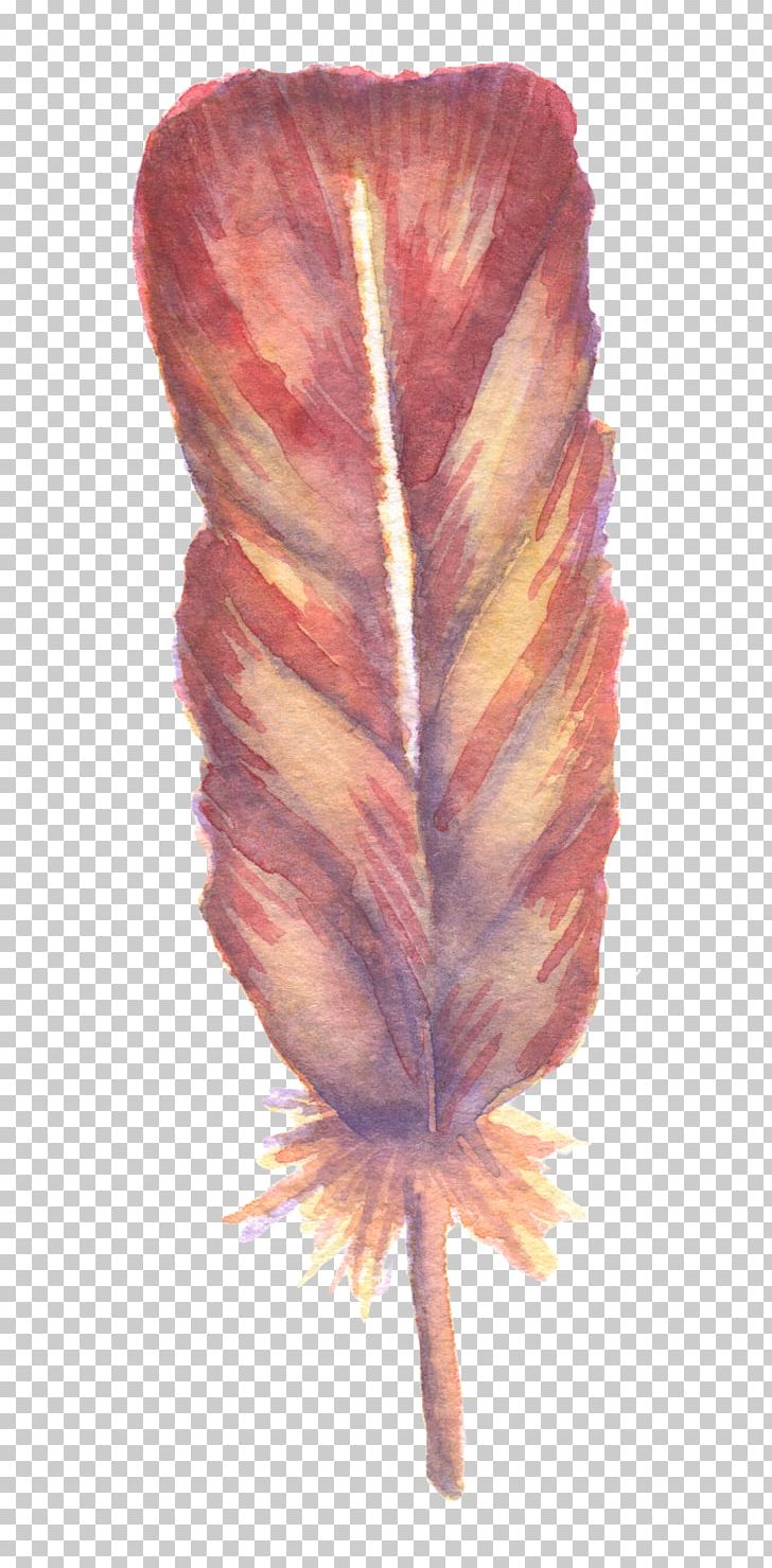 Watercolor: Flowers Watercolor Painting Feather PNG, Clipart, Animals, Beautiful, Beauty, Department, Encapsulated Postscript Free PNG Download