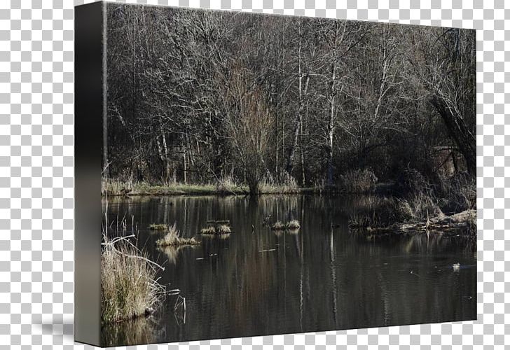 Bayou Swamp Painting Nature Wood PNG, Clipart, Art, Bank, Bayou, Fluvial Landforms Of Streams, Landscape Free PNG Download