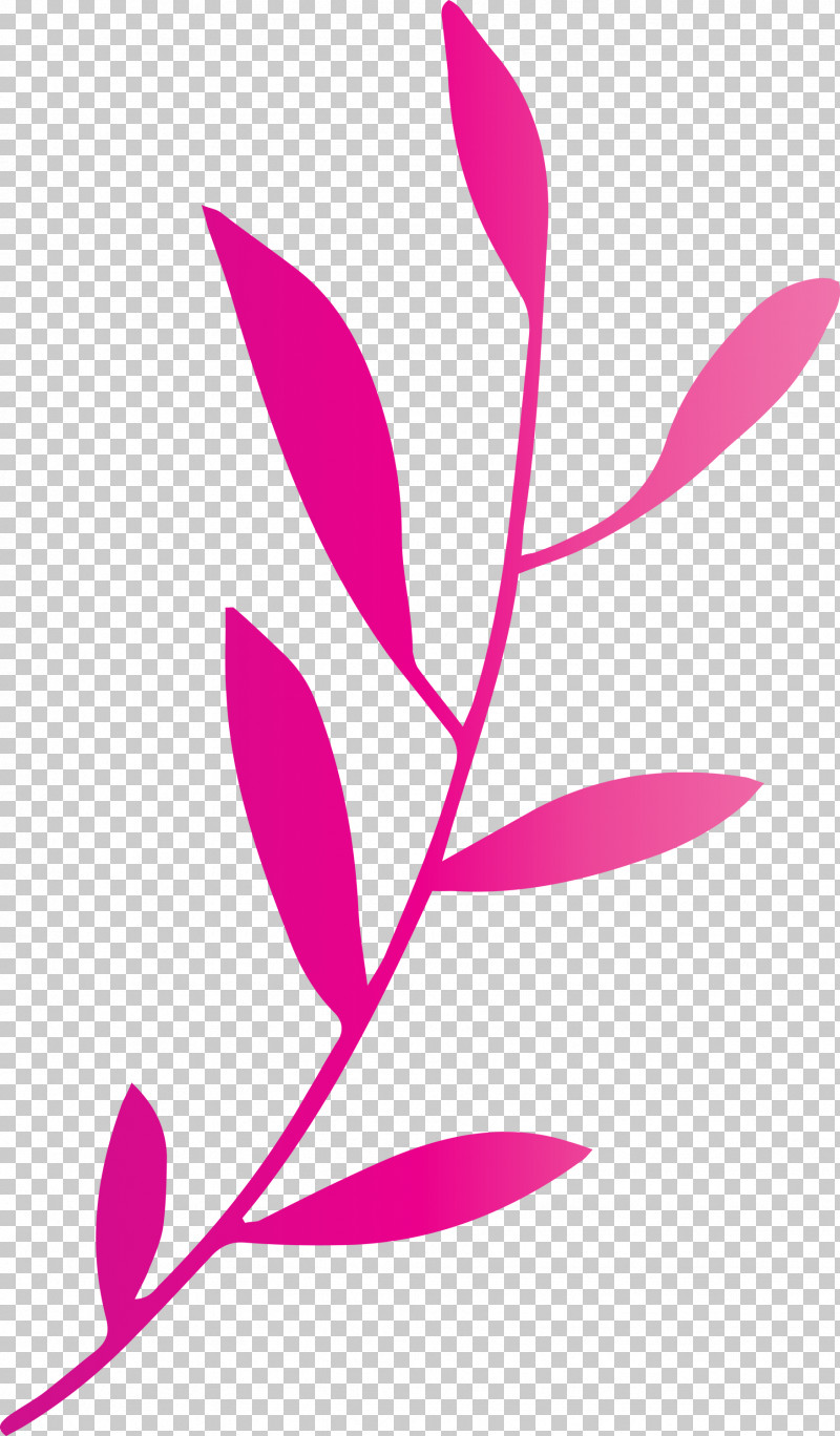 Leaf Branch PNG, Clipart, Biology, Flower, Leaf, Leaf Branch, Line Free PNG Download