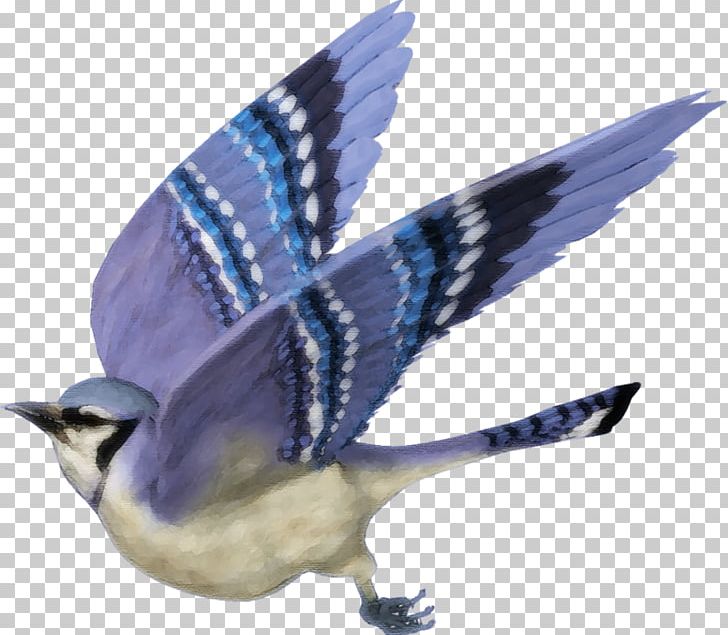 Blue Jay Bird PNG, Clipart, 1788, Animal, Animals, Art, Beak Free PNG Download
