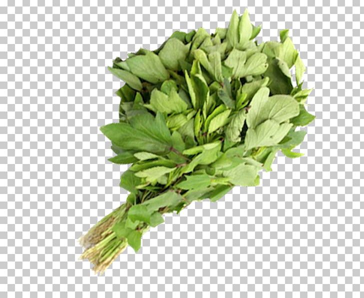 Spinach Vegetarian Cuisine Greens Vegetable Food PNG, Clipart, Amaranth, Amaranthus Tricolor, Fenugreek, Food, Food Drinks Free PNG Download