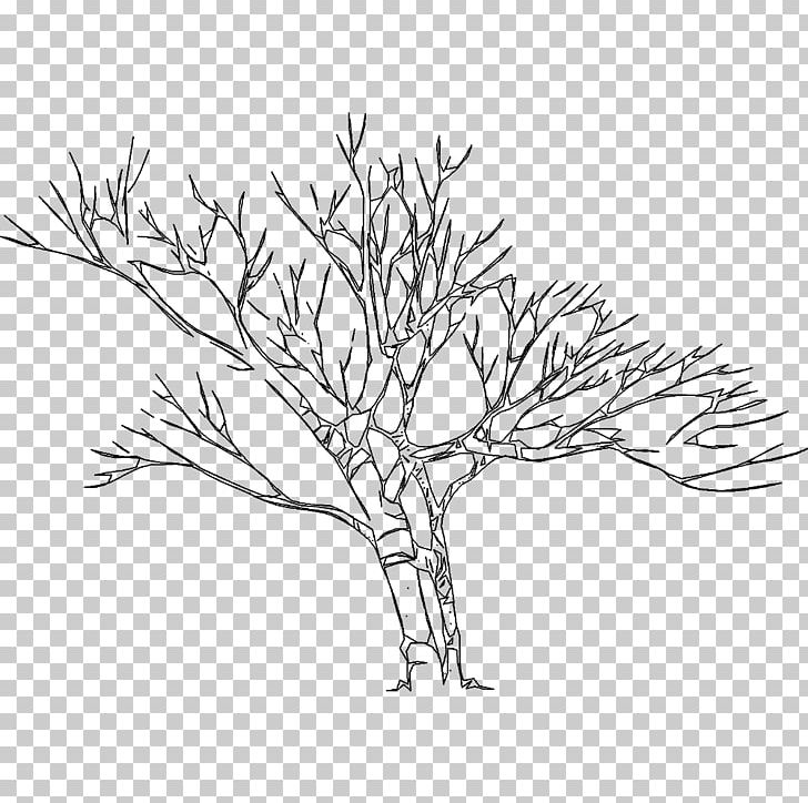 Twig Line Art Drawing Plant Stem PNG, Clipart, Artwork, Black And White, Branch, Drawing, Flora Free PNG Download