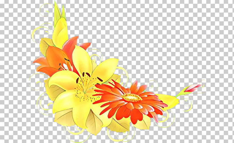 Orange PNG, Clipart, Bouquet, Cut Flowers, Flower, Gerbera, Orange Free PNG Download