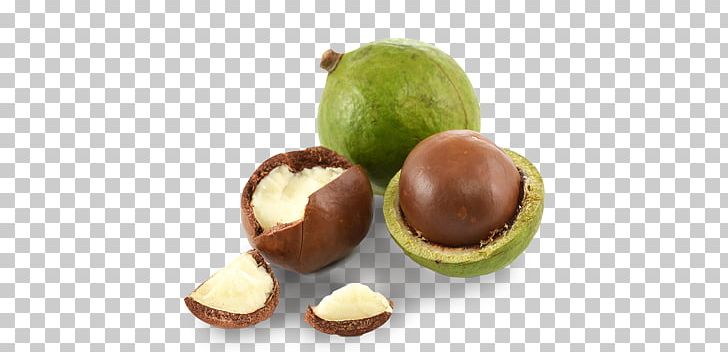 Macadamia Nut Macadamia Oil Banana Bread PNG, Clipart, Carrot Seed Oil, Food, Fruit, Ingredient, Jojoba Oil Free PNG Download