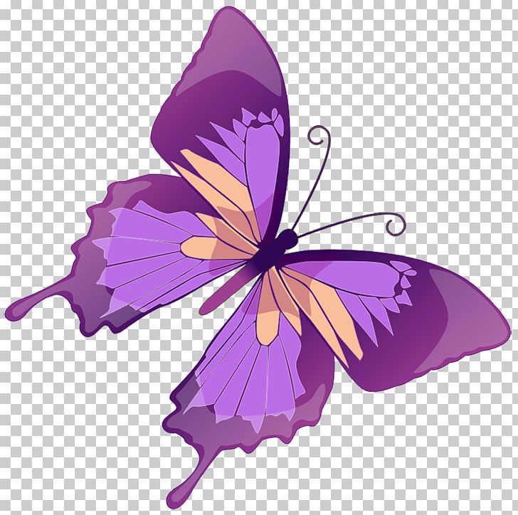 Butterfly Euclidean Stock Illustration Graphics PNG, Clipart, Brush Footed Butterfly, Butterflies, Clipart, Color, Design Free PNG Download