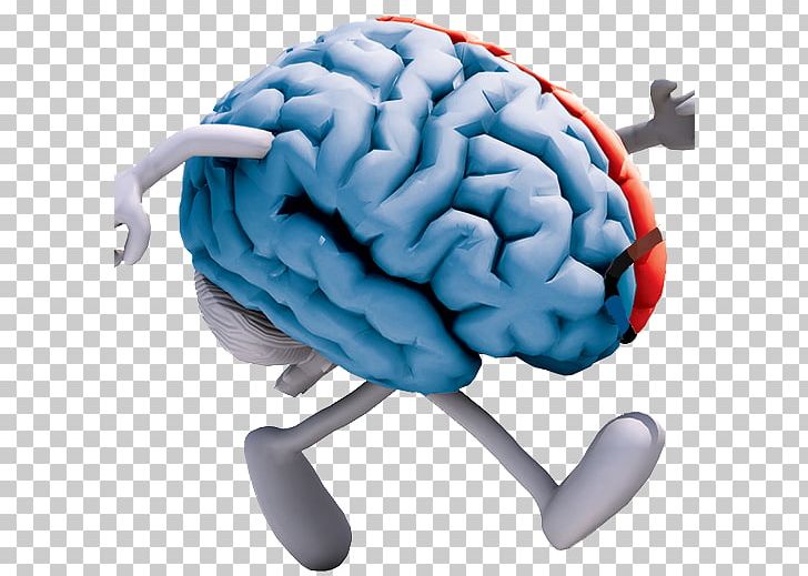 Exercise Brain Cognitive Training Neuroscience Neuroplasticity PNG, Clipart, Brain, Cognitive Training, Endurance, Exercise, Health Free PNG Download