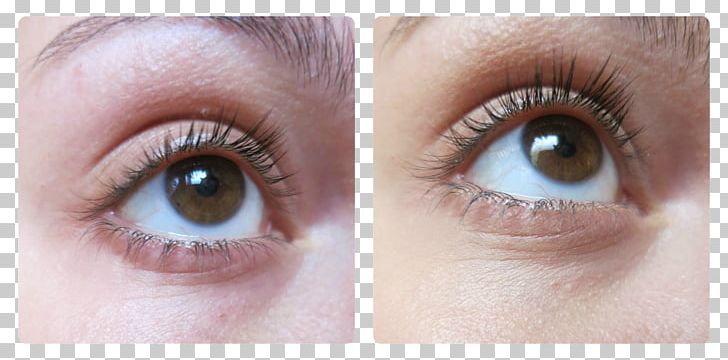Eyelash Extensions Mascara Eye Shadow Iris PNG, Clipart, Artificial Hair Integrations, Cheek, Closeup, Closeup, Cosmetics Free PNG Download