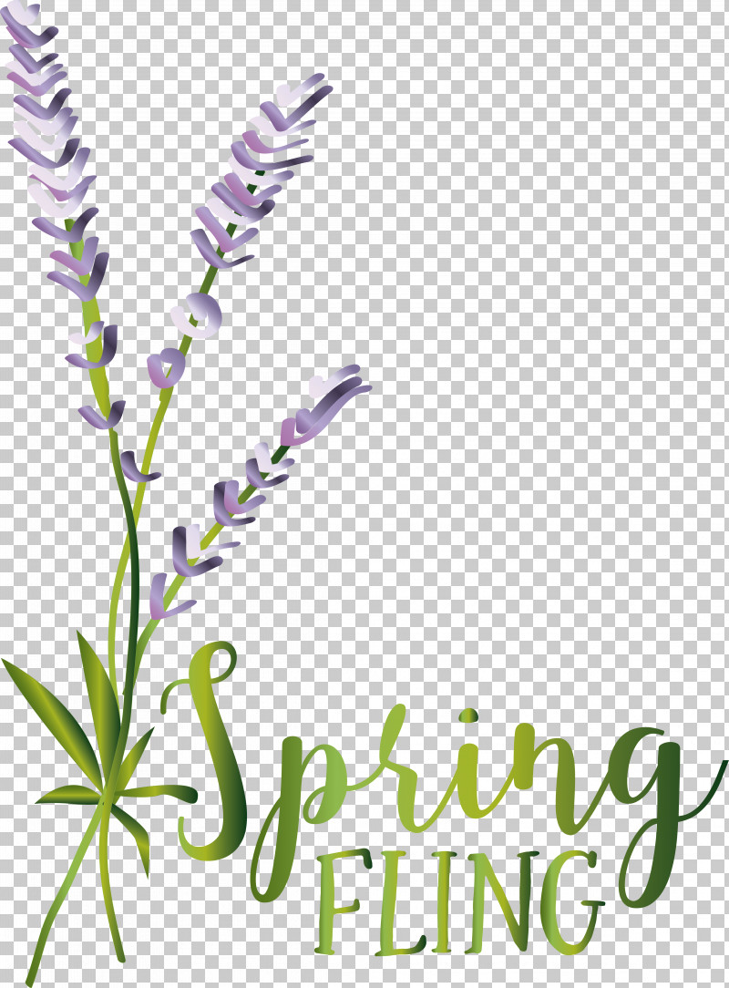 Lavender PNG, Clipart, Biology, Cut Flowers, Flower, Geometry, Herb Free PNG Download