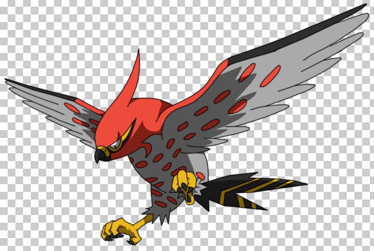 Ash Ketchum Pokémon X And Y Pokémon Universe Talonflame PNG, Clipart, Ash Ketchum, Beak, Bird, Bird Of Prey, Eagle Free PNG Download