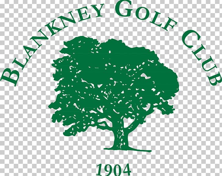 Blankney Golf Club Golf Course Boultham Park PNG, Clipart, Area, Ashlee Simpson, Brand, Celebrities, Flowering Plant Free PNG Download