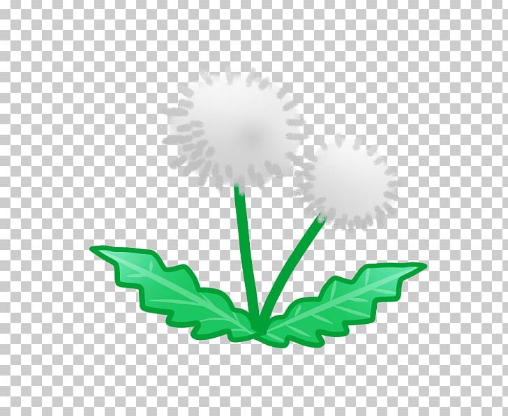 Dandelion Illustration Watercolor Painting PNG, Clipart, Art, Chrysanthemum, Daisy Family, Dandelion, Download Free PNG Download