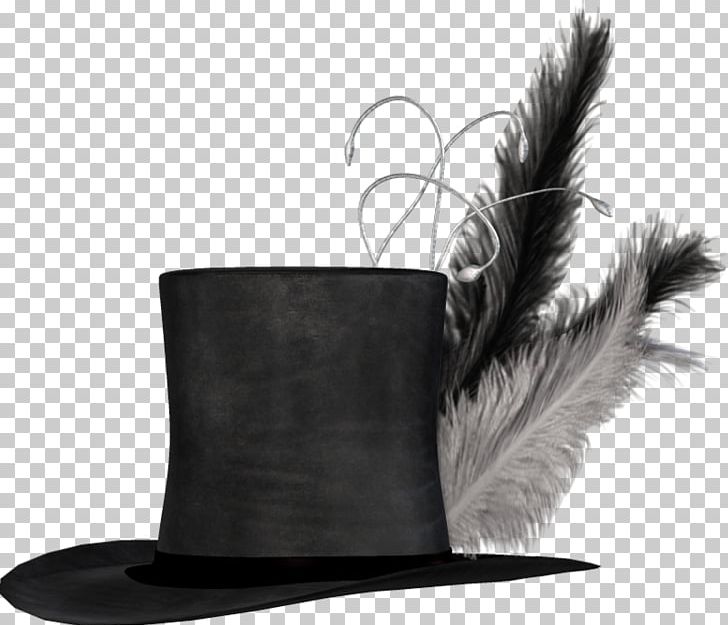 Hat Feather PNG, Clipart, Black, Cap, Cheval, Clothing, Color Free PNG Download