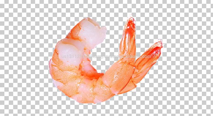 Shrimp Computer Icons PNG, Clipart, Animals, Animal Source Foods, Caridean Shrimp, Copying, Decapoda Free PNG Download