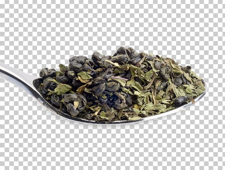 Tieguanyin Gunpowder Tea Oolong Earl Grey Tea Biluochun PNG, Clipart, Biluochun, Black Powder, Camellia Sinensis, Dianhong, Earl Free PNG Download