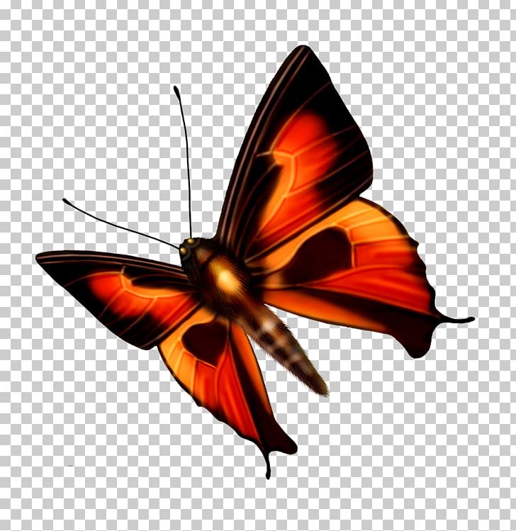 Butterfly Dragonfly PNG, Clipart, Arthropod, Blue Butterfly, Brush Footed Butterfly, Butterflies, Butterfly Free PNG Download