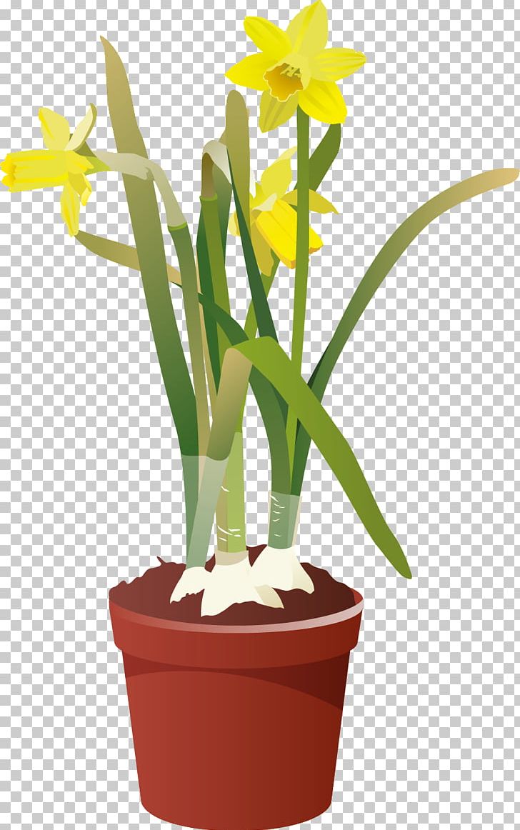 Garden PNG, Clipart, Art, Cattleya, Cattleya Orchids, Computer Icons, Cut Flowers Free PNG Download