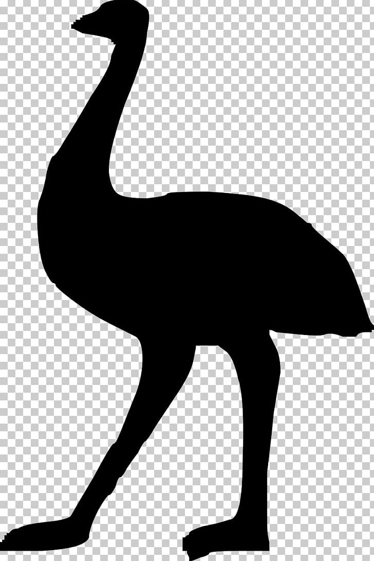 Australia Silhouette Common Ostrich Emu PNG, Clipart, Animal, Artwork, Australia, Beak, Bird Free PNG Download