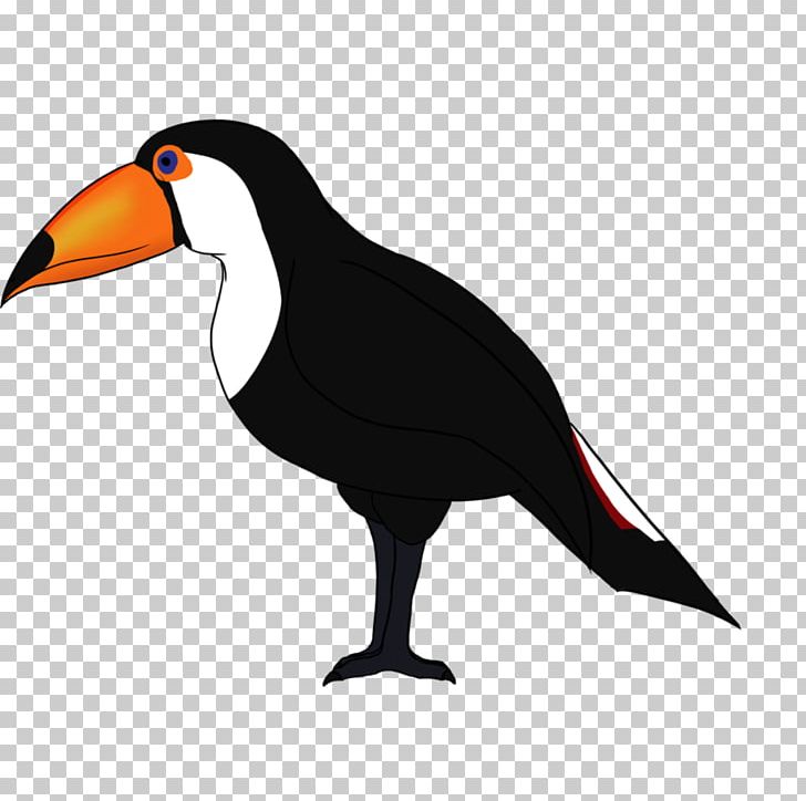 Beak Water Bird Toucan PNG, Clipart, Beak, Bird, Fauna, Toco Toucan, Toucan Free PNG Download