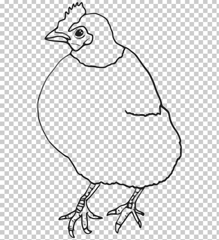 Chicken Drawing Graphics PNG, Clipart, Animals, Art, Beak, Bird, Black And White Free PNG Download