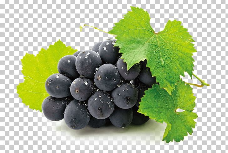 Common Grape Vine Wine Fruit Juice PNG, Clipart, Bilberry, Blueberry, Common Grape Vine, Desktop Wallpaper, Dried Fruit Free PNG Download