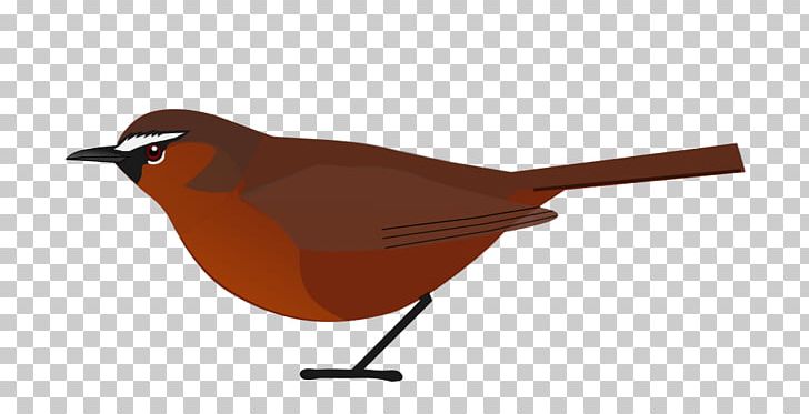 தமிழ்நாட்டின் உயிரினங்கள் European Robin Bird Nilgiris District Nilgiri Tahr PNG, Clipart, Animals, Beak, Bird, Endangered Species, European Robin Free PNG Download