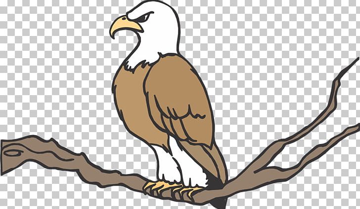 Vulture Eagle Cartoon Bird PNG, Clipart, Animated Film, Artwork, Aves, Bald Eagle, Beak Free PNG Download
