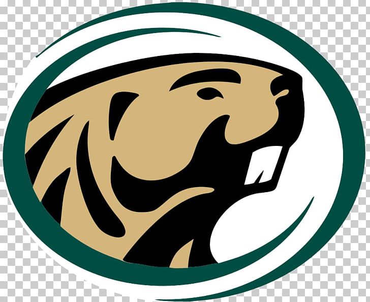 Bemidji State University Bemidji State Beavers Men's Ice Hockey Bemidji State Beavers Men's Basketball Bethel University Sanford Center PNG, Clipart,  Free PNG Download