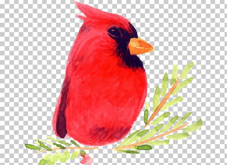 Bird Watercolor Painting Illustration PNG, Clipart, Animal, Animals, Balloon Cartoon, Beak, Bird Free PNG Download