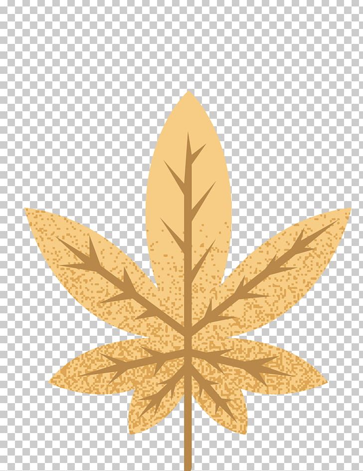 Maple Leaf Autumn PNG, Clipart, Encapsulated Postscript, Fall Leaves, Happy Birthday Vector Images, Leaf, Leaf Design Vector Elements Free PNG Download