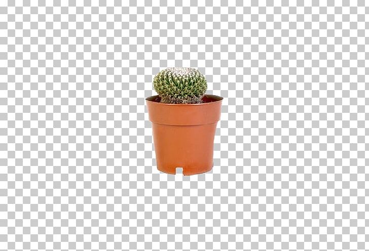 Cactaceae Barbary Fig Flowerpot PNG, Clipart, Adobe Illustrator, Barbary Fig, Bonsai, Cactaceae, Cactus Free PNG Download