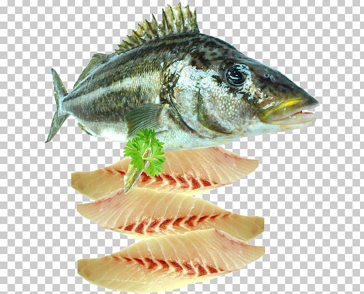 Fish Fillet Seafood PNG, Clipart, Animals, Animal Source Foods, Bass, Cooking, Fauna Free PNG Download
