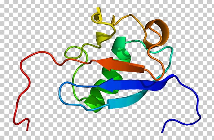 HLA-B Associated Transcript 3 Gene Cluster Protein Scythe PNG, Clipart, Area, Artwork, Bcl2, Encyclopedia, Gene Free PNG Download