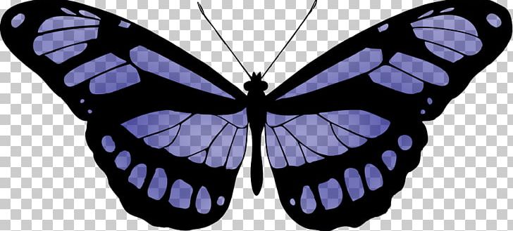 Monarch Butterfly Pieridae Insect PNG, Clipart, Arthropod, Black And White, Brush Footed Butterfly, Butterflies And Moths, Butterfly Free PNG Download