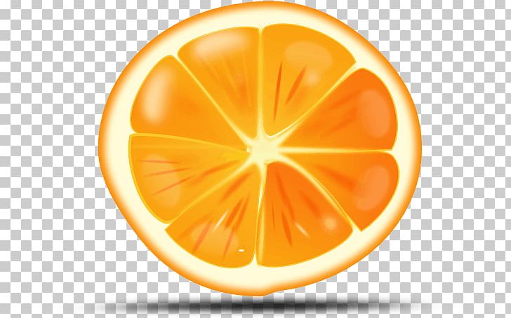 Orange Graphics Citrus × Sinensis Open PNG, Clipart, Circle, Citric Acid, Citrus, Citrus Sinensis, Computer Icons Free PNG Download