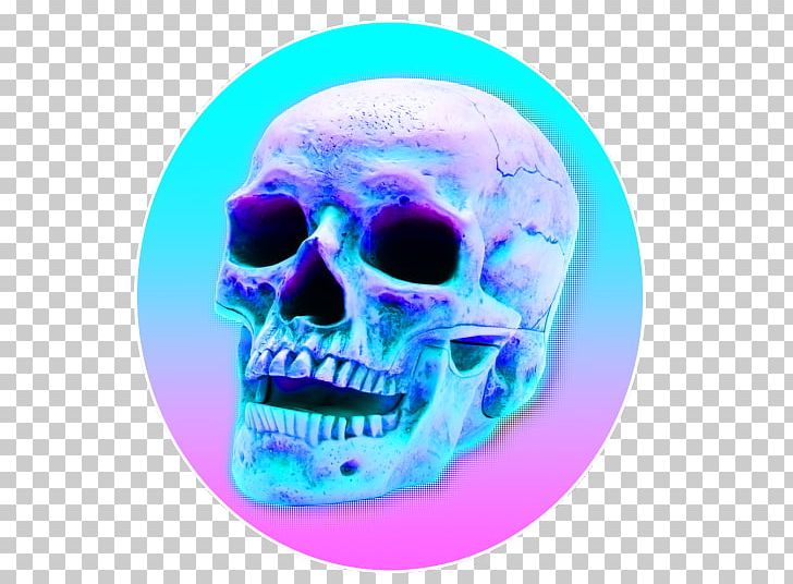 Skull Human Skeleton PNG, Clipart, Bone, Desktop Wallpaper, Electric Blue, Exoskeleton, Homo Sapiens Free PNG Download