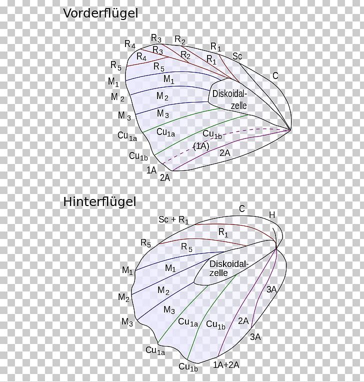 Butterfly Insect Wing Caterpillar Pupa PNG, Clipart, Aile, Angle, Area, Butterfly, Caterpillar Free PNG Download