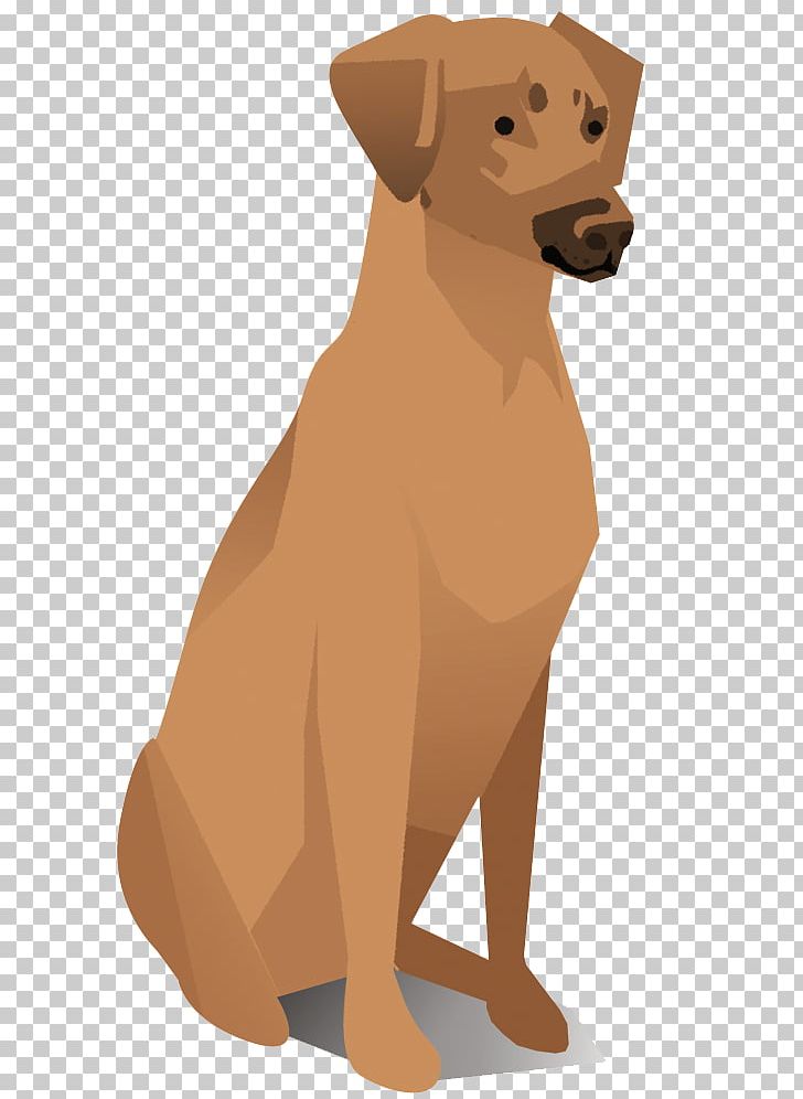 Dog Breed Rhodesian Ridgeback Retriever Companion Dog Sporting Group PNG, Clipart, Animals, Carnivoran, Companion Dog, Dog, Dog Breed Free PNG Download