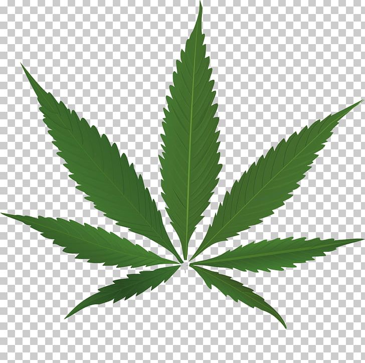 Medical Cannabis PNG, Clipart, Cannabinol, Cannabis, Cannabis Smoking, Clip Art, Eastern Free PNG Download