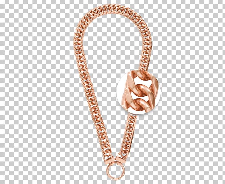 Necklace Earring Bracelet Jewellery Gold PNG, Clipart, Anklet, Bangle, Body Jewelry, Bracelet, Chain Free PNG Download