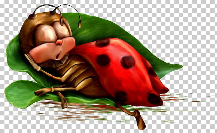 Night Animation Morning Photography PNG, Clipart, Animation, Arthropod, Beetle, Cartoon, Day Free PNG Download
