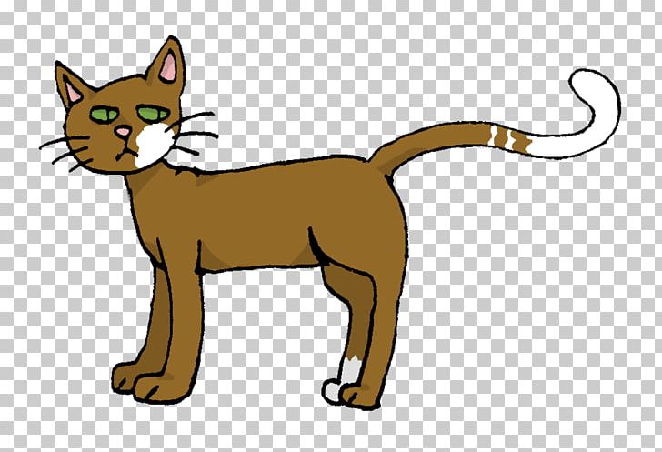 Whiskers Kitten Red Fox Cat Dog PNG, Clipart, Canidae, Carnivoran, Cat, Cat Like Mammal, Character Free PNG Download