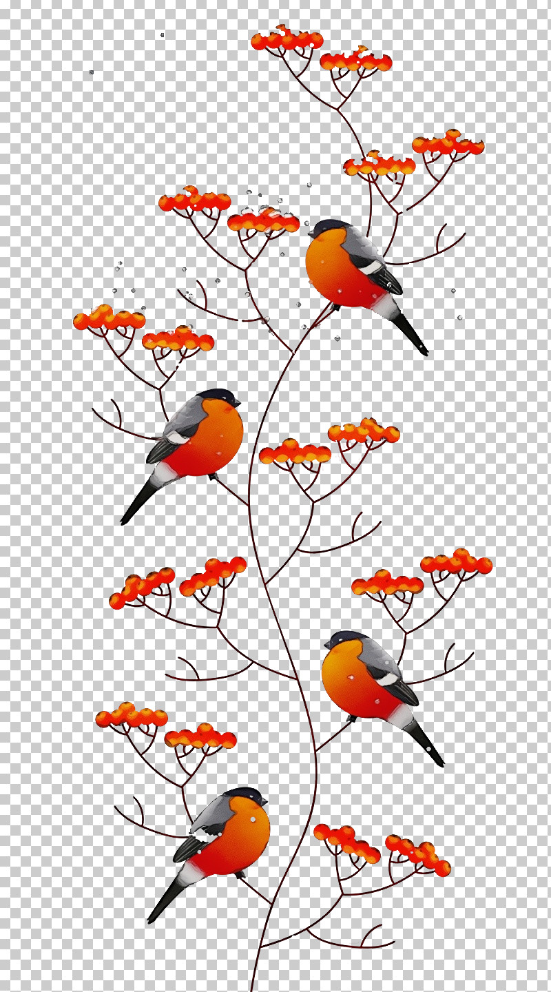 Eurasian Bullfinch Birds Şakrak Kuşu Rowan Pyrrhula PNG, Clipart, Birds, Eurasian Bullfinch, Paint, Pyrrhula, Rowan Free PNG Download