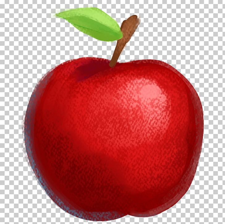 Apple Drawing Fruit Illustration PNG, Clipart, Apple, Apple Fruit, Apple Logo, Bright, Drawing Free PNG Download