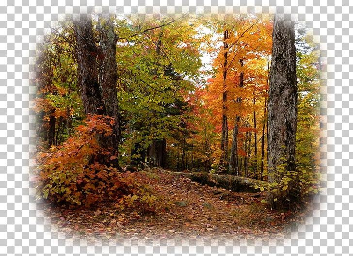 Landscape Painting PNG, Clipart, Advertising, Art, Autumn, Biome, Broadleaved Tree Free PNG Download