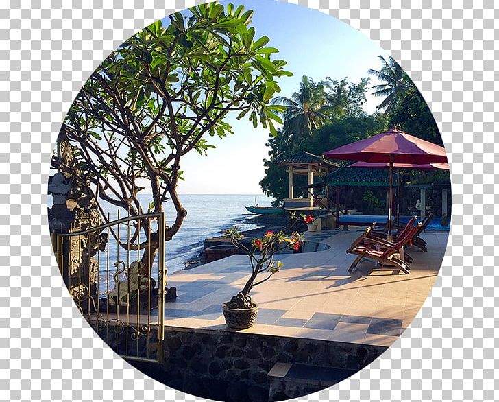 Lovina Beach Singaraja Hotel Pantai-Mas PNG, Clipart, Accommodation, Bali, Beach, Buleleng Regency, Egmond Aan Zee Free PNG Download