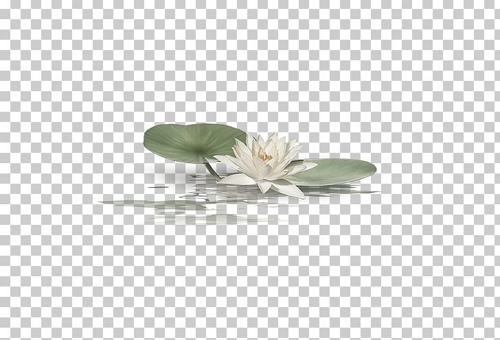Nelumbo Nucifera PNG, Clipart, Chinese, Chinese Border, Chinese Lantern, Chinese New Year, Chinese Style Free PNG Download